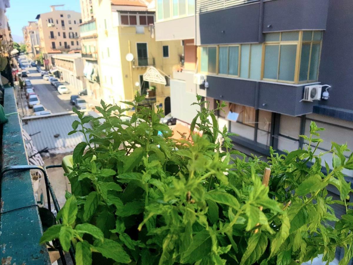 Dolce Casa Centro Storico Di Palermo New 2023 Apartamento Exterior foto